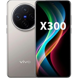 Vivo x300